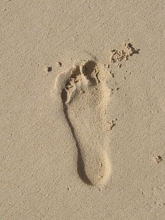 sandprint